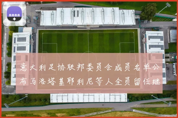 意大利足协联邦委员会成员名单公布马洛塔基耶利尼等人全员留任继续服务
